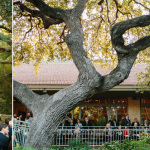 university of texas wedding